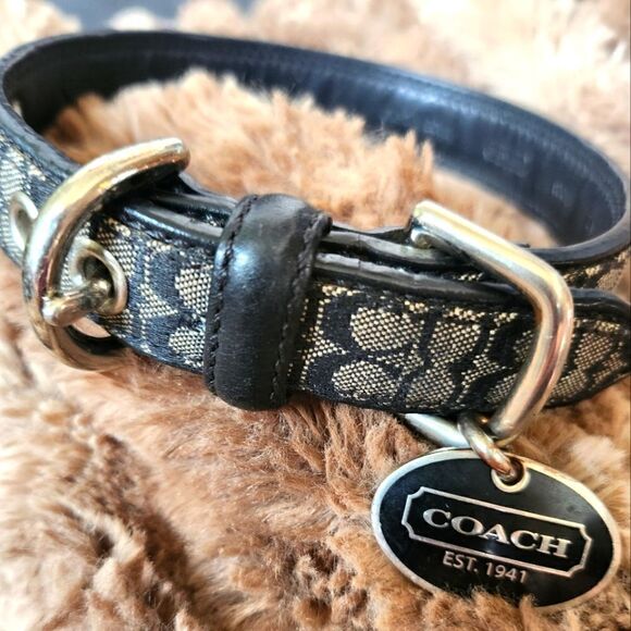 Coach Small Pet Collar with Engraveable Tag - Picture 2 of 11